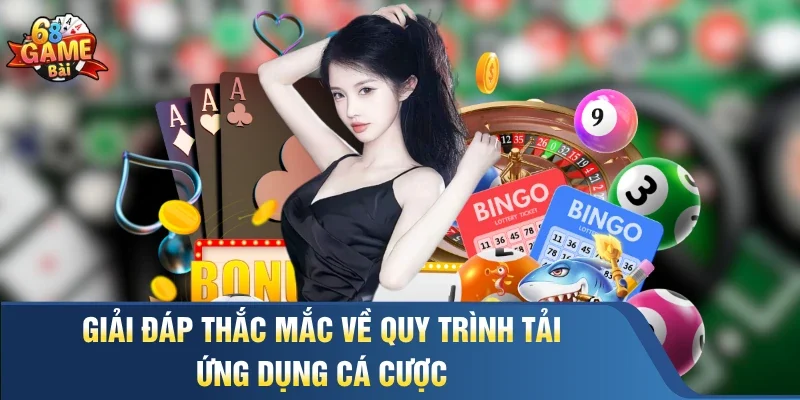 Giải đáp thắc mắc về quy trình tải ứng dụng cá cược